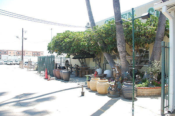 DSC 0342