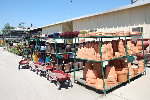 DSC 0477