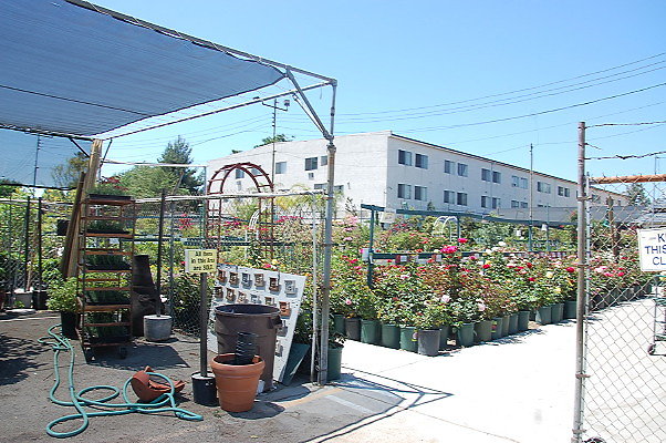 DSC 0484