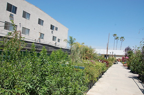 DSC 0471