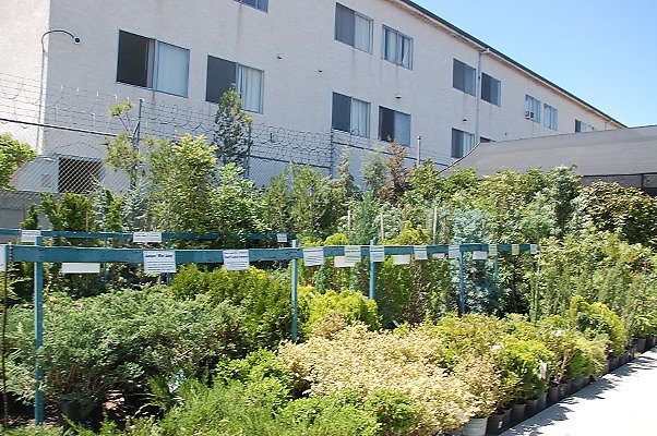 DSC 0440