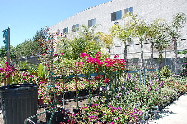 DSC 0449