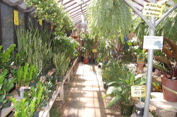 DSC 0407