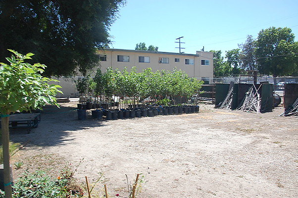 DSC 0466
