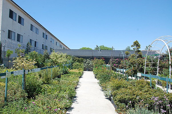 DSC 0444