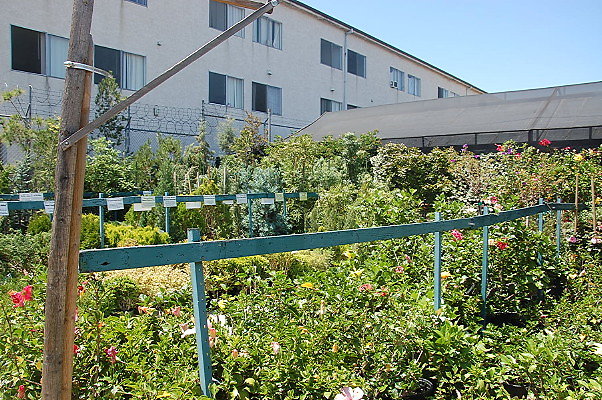 DSC 0438