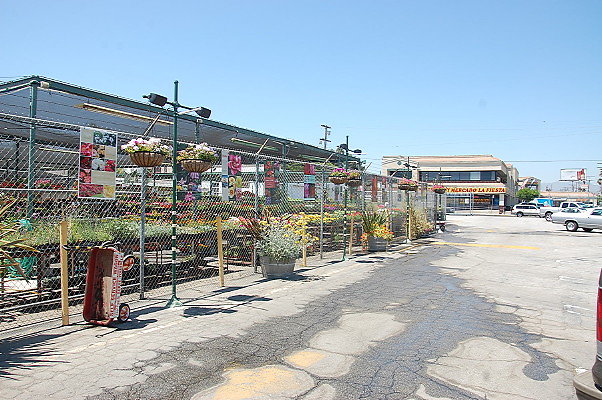 DSC 0338