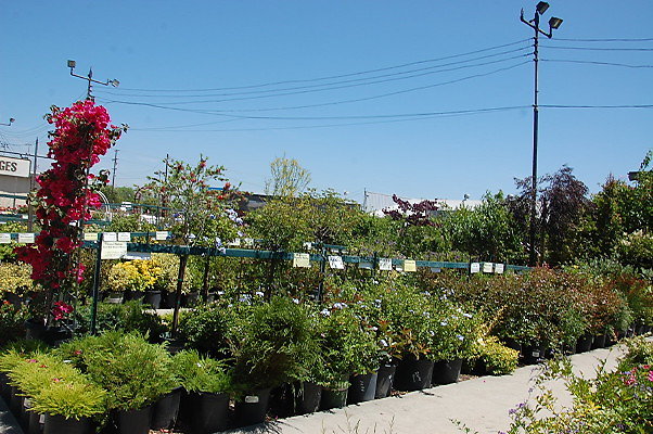DSC 0473
