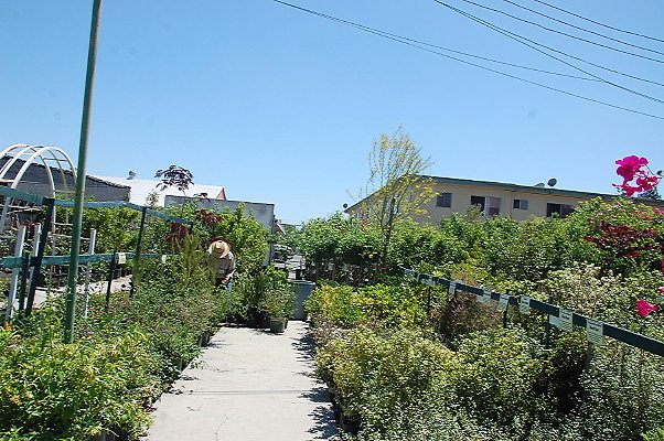 DSC 0442