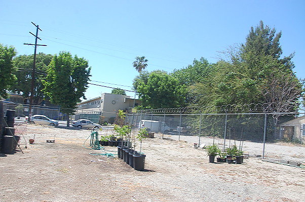 DSC 0468