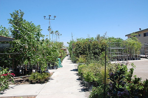 DSC 0462