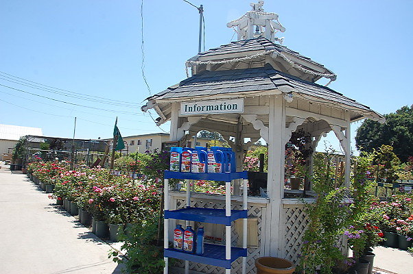 DSC 0432