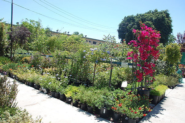 DSC 0448