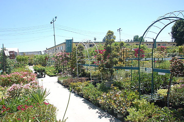 DSC 0435