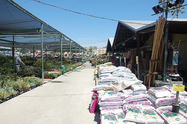 DSC 0400