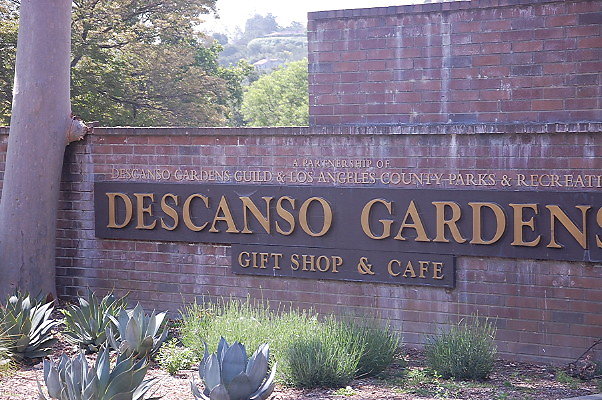 DSC 0002