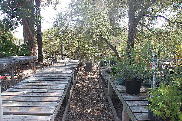 DSC 0138