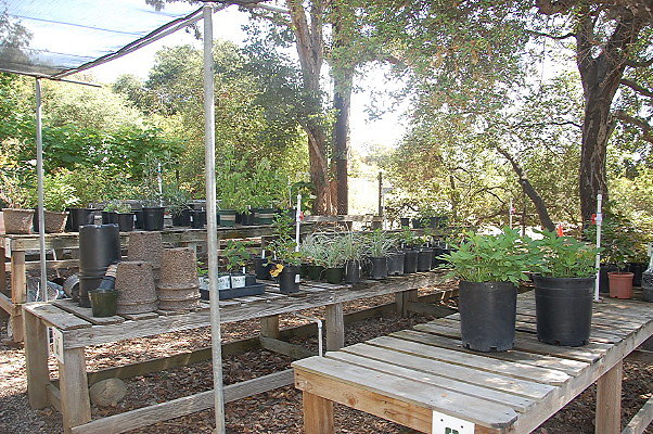 DSC 0135