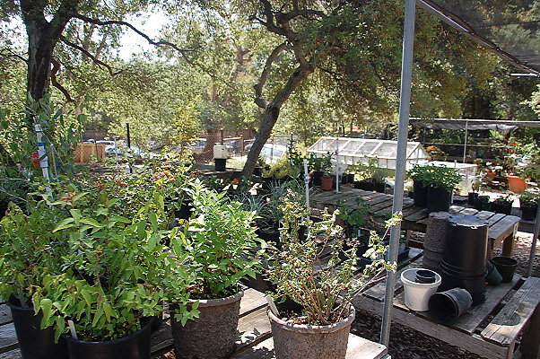DSC 0139