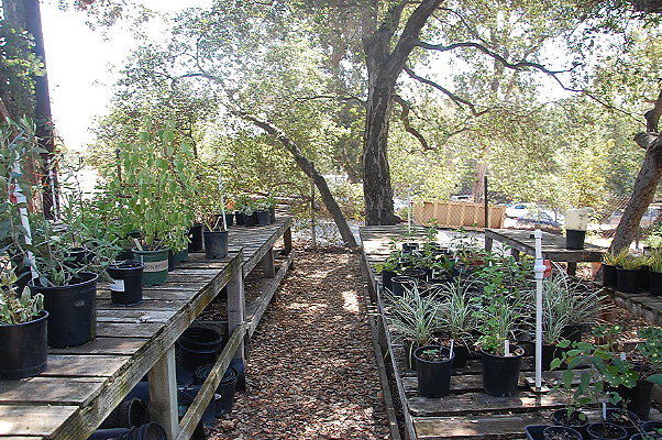 DSC 0141