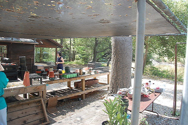 DSC 0083