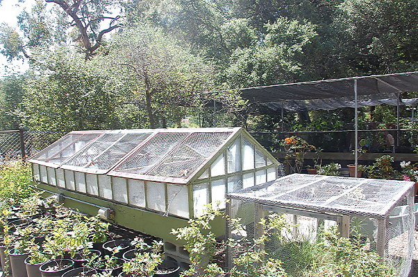 DSC 0131