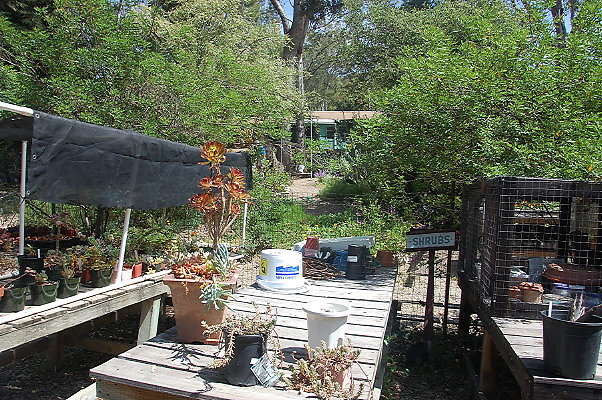 DSC 0116