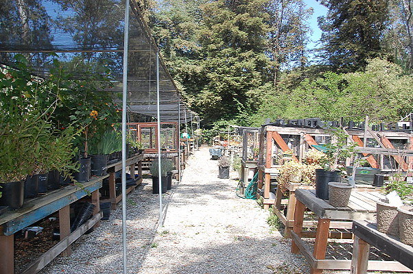 DSC 0079