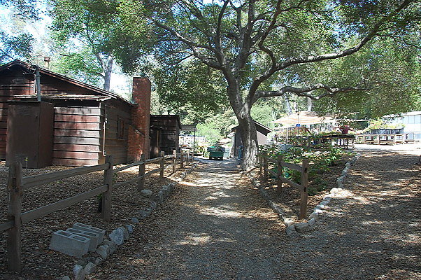 DSC 0073