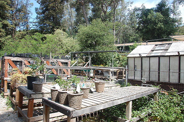 DSC 0080