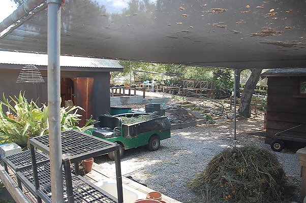 DSC 0081