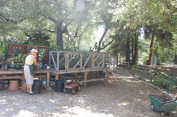DSC 0125