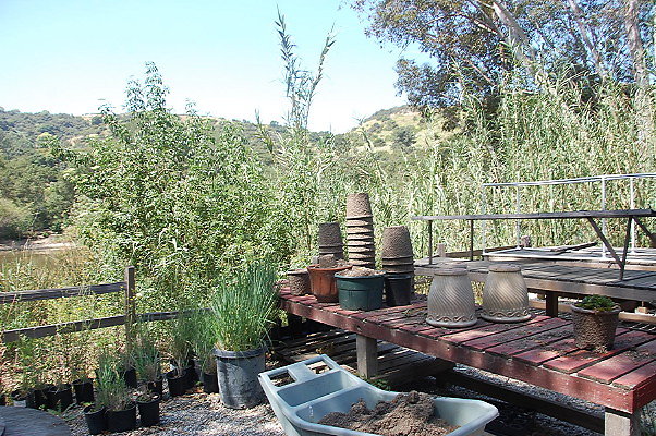 DSC 0086