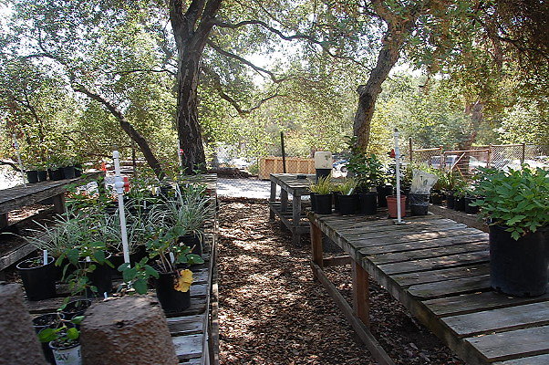 DSC 0142