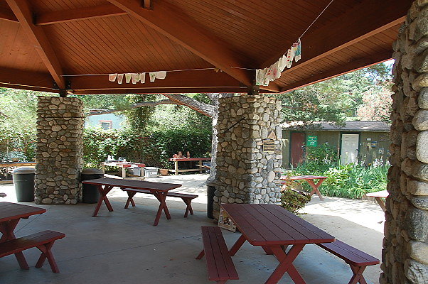 DSC 0069
