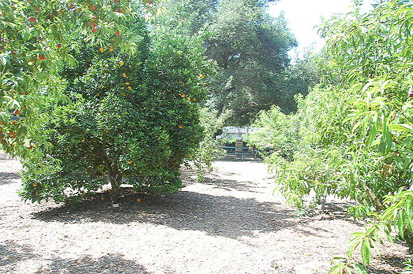 DSC 0039