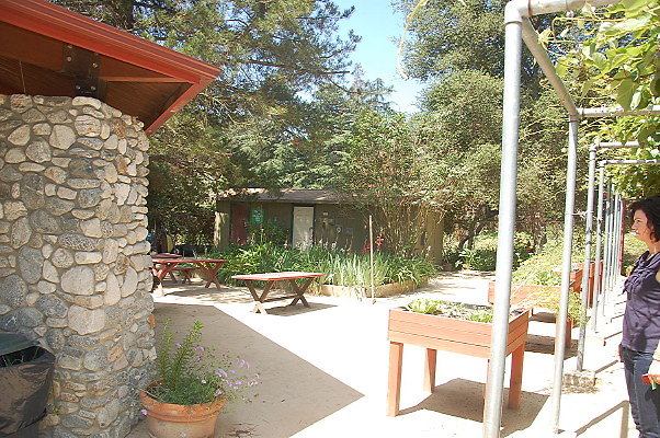DSC 0066