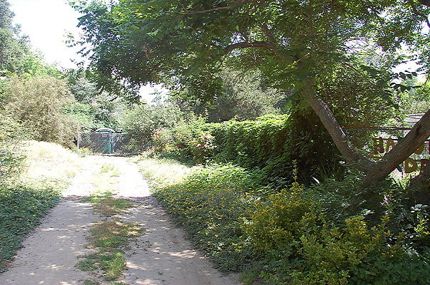DSC 0003
