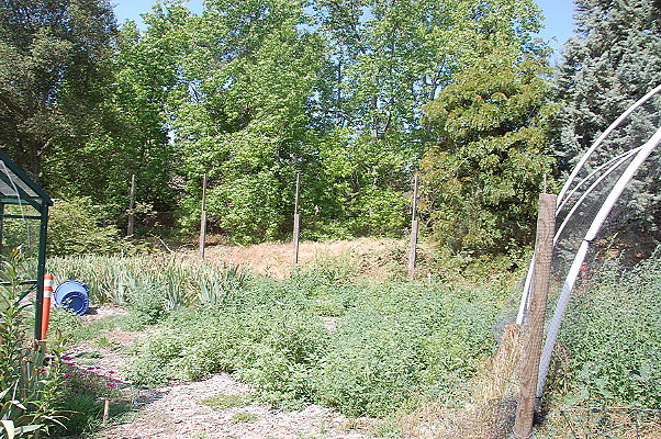 DSC 0051
