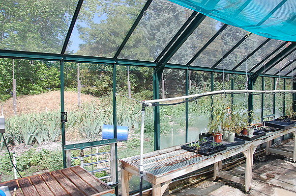 DSC 0058
