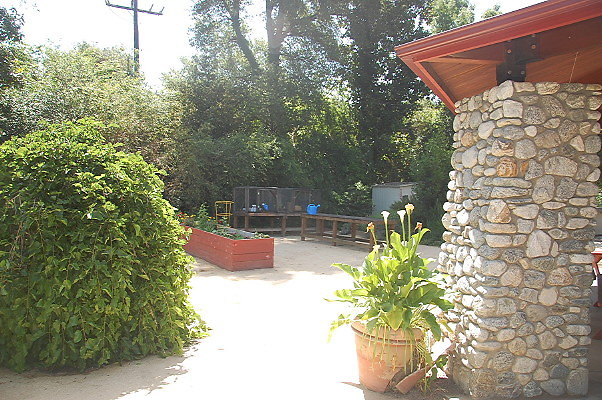 DSC 0064