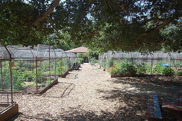 DSC 0035