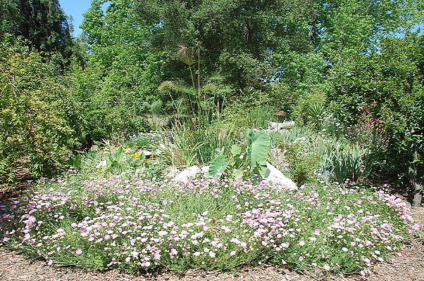 DSC 0041