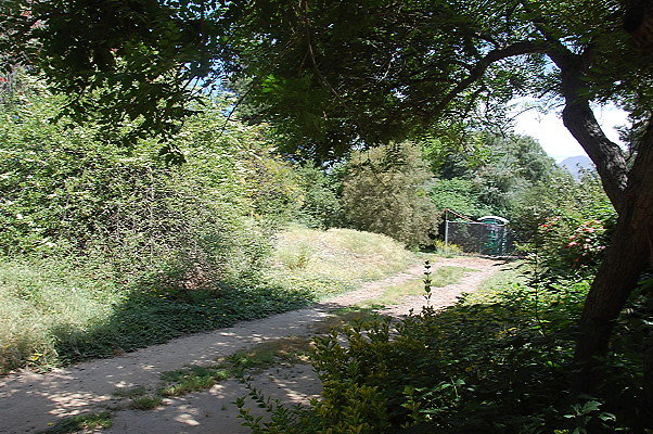 DSC 0008