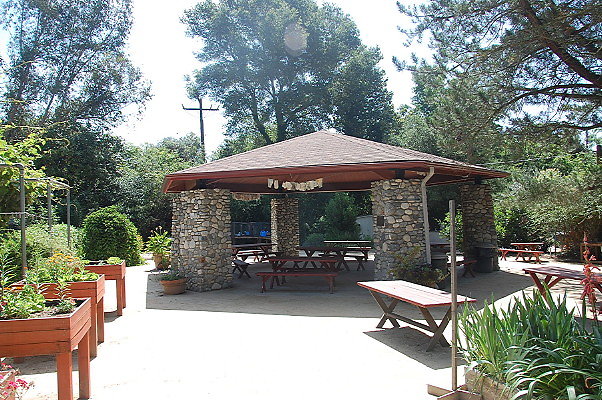 DSC 0070