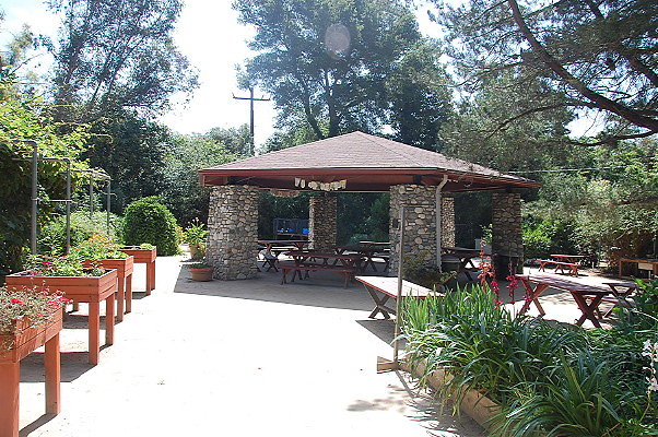 DSC 0011