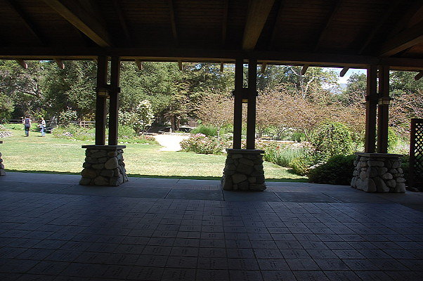 DSC 0157