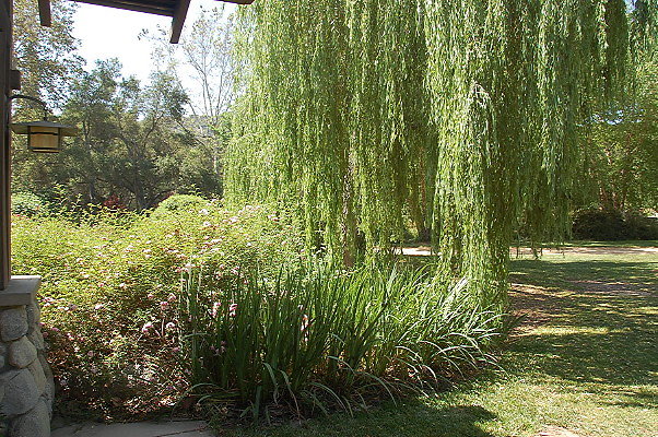 DSC 0166