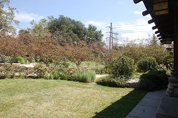 DSC 0171