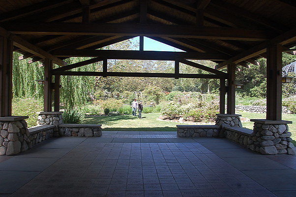 DSC 0152a